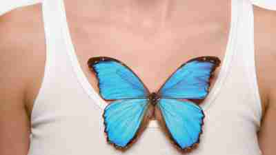 A blue butterfly representing acceptance and commitment therapy