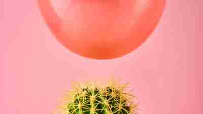 Red balloon fall on cactus needle on pink background. Danger or protection concept. Rejection sensitive dysphoria concept.