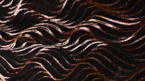 Abstract background with curve lines. Demonstrates change, flux, fluctuations,